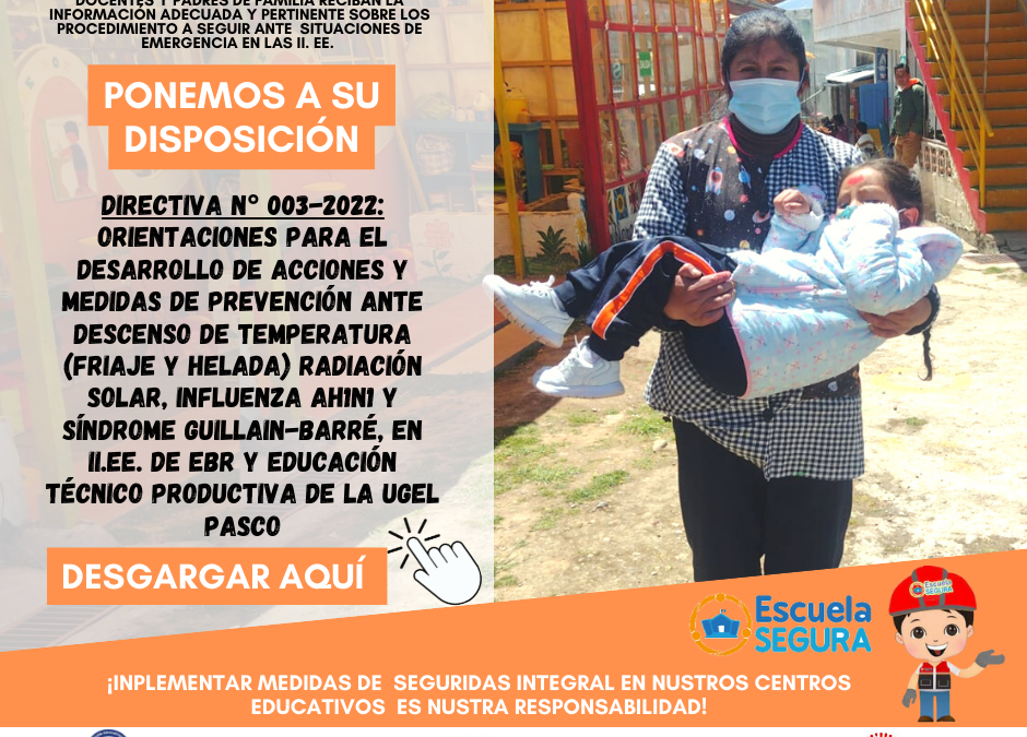 ￼ ORIENTACIONES PARA EL DESARROLLO DE ACCIONES Y MEDIDAS DE PREVENCIÓN ANTE DESCENSO DE TEMPERATURA (FRIAJE Y HELADA) RADIACIÓN SOLAR, INFLUENZA AH1N1 Y SÍNDROME GUILLAIN-BARRÉ, EN II.EE. DE EBR Y EDUCACIÓN TÉCNICO PRODUCTIVA DE LA UGEL PASCO￼￼
