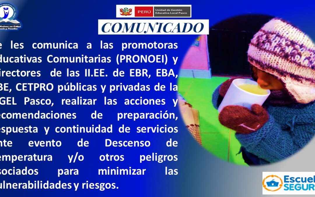 #Directiva N° 003-2023